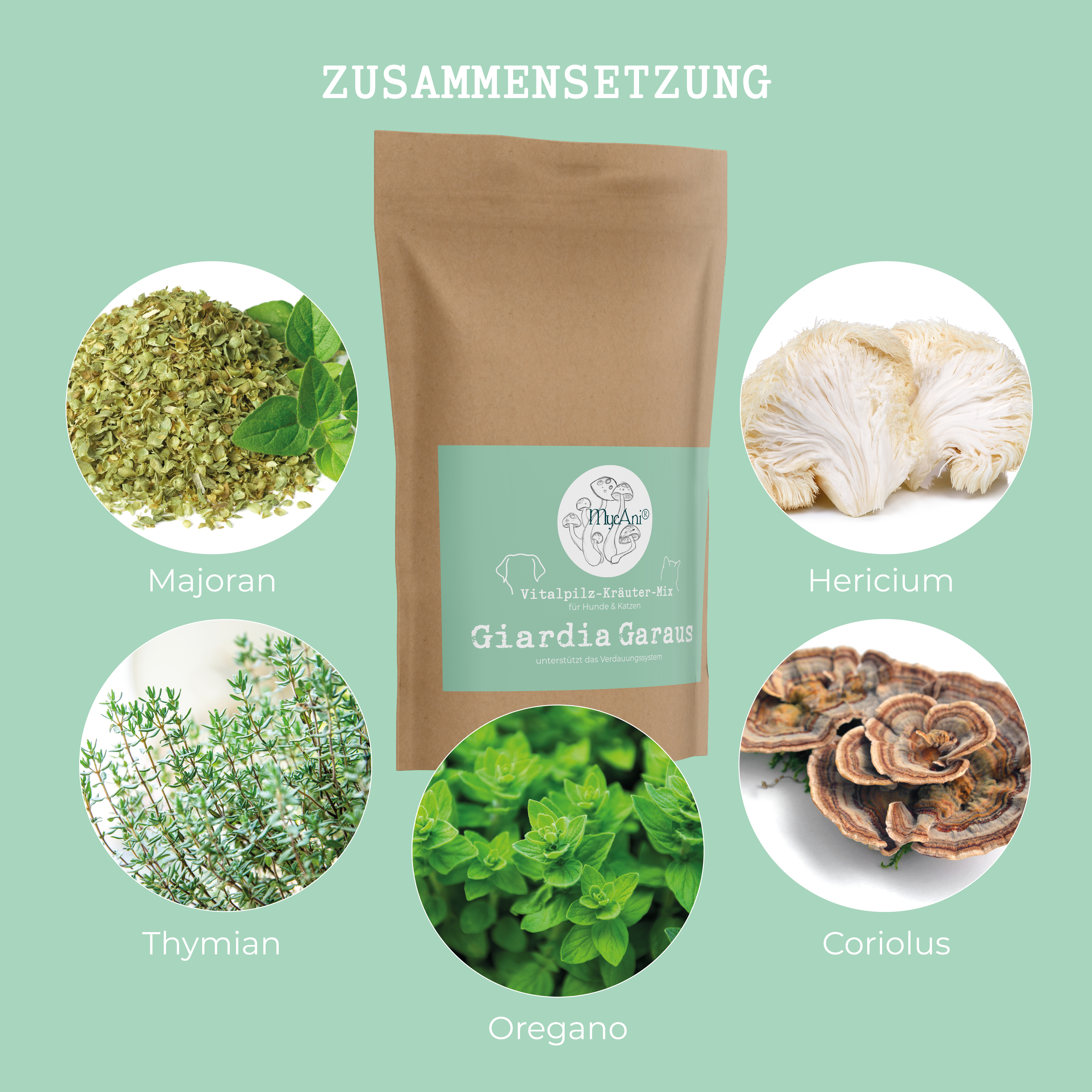 Vitalpilzmischung "Giardia Garaus" Vitalpilzmischung "Giardia Garaus"