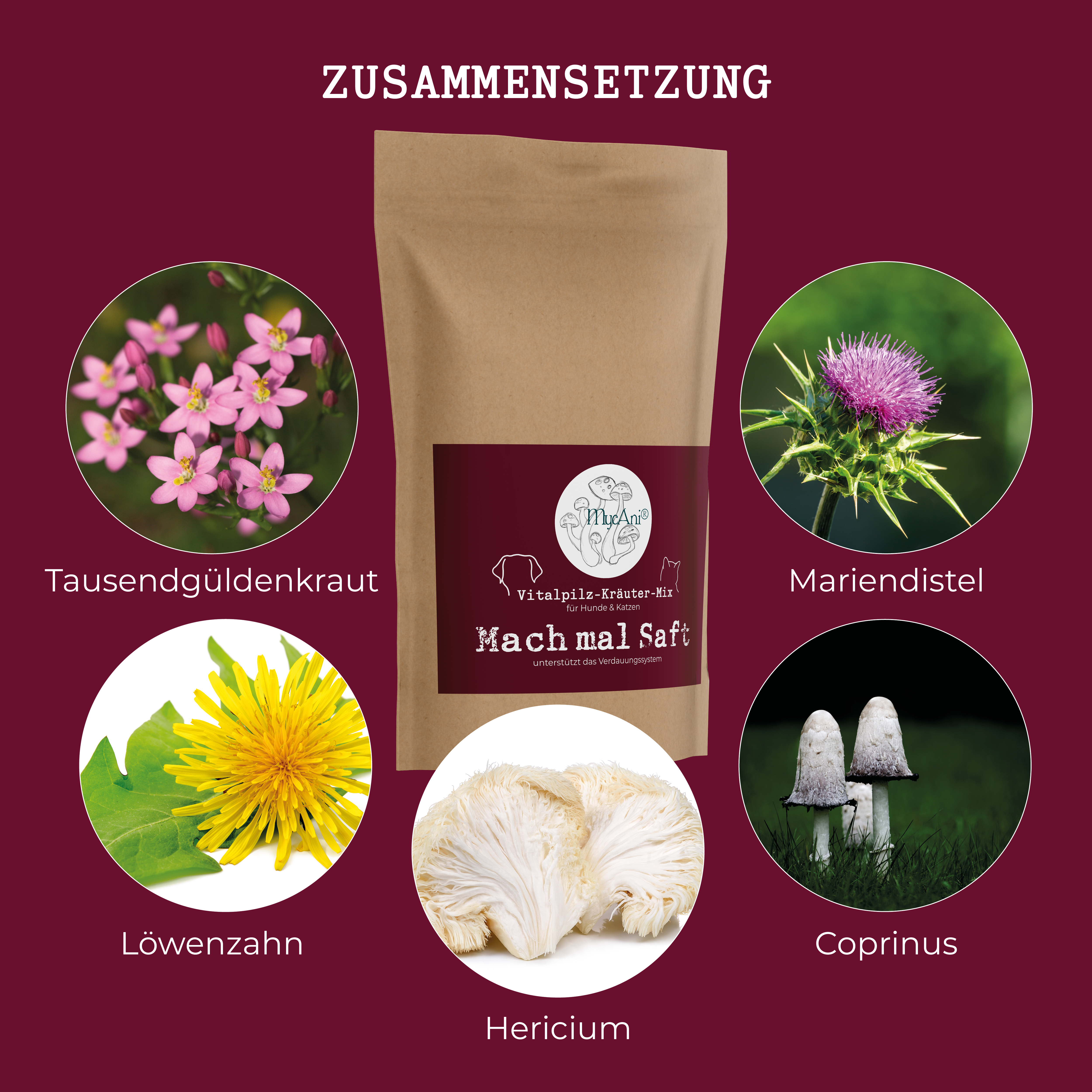 Vitalpilzmischung "Mach mal Saft - Pankre-AS" Vitalpilzmischung "Mach mal Saft - Pankre-AS"