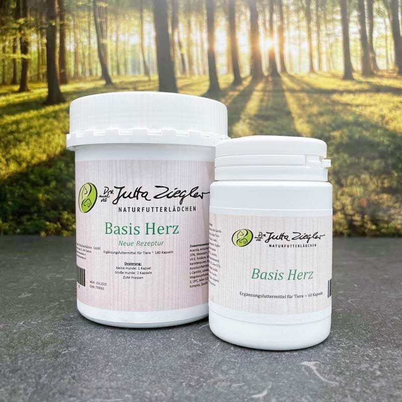 Basis Herz für Hunde - Dr. Jutta Ziegler Basis Herz für Hunde - Dr. Jutta Ziegler