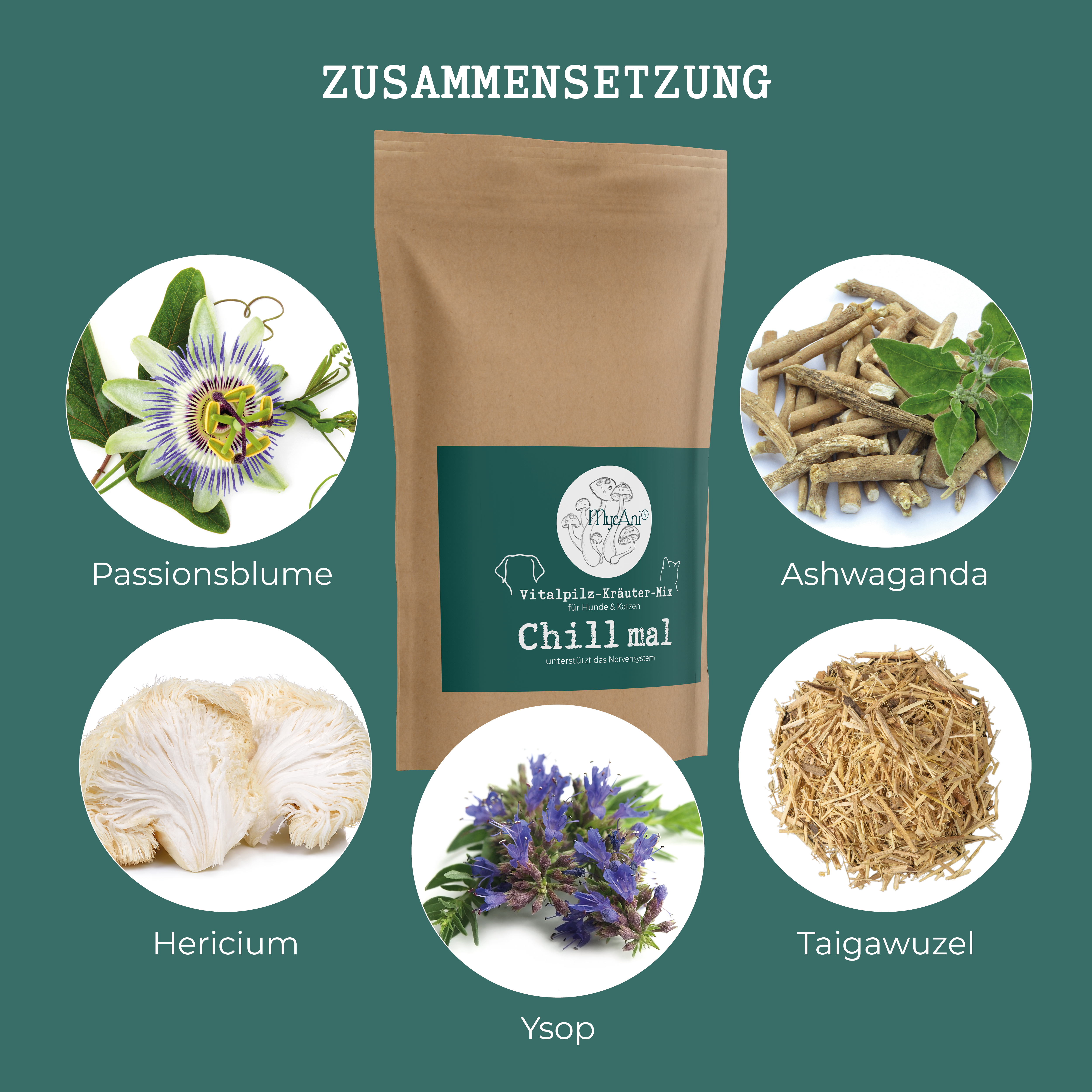 "Chill mal" Vitalpilzmischung