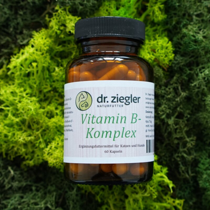 Vitamin B-Komplex - Dr. Jutta Ziegler