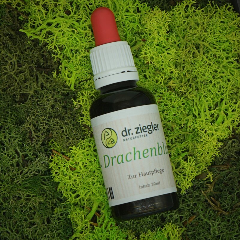 Drachenblut Tinktur - Dr. Jutta Ziegler