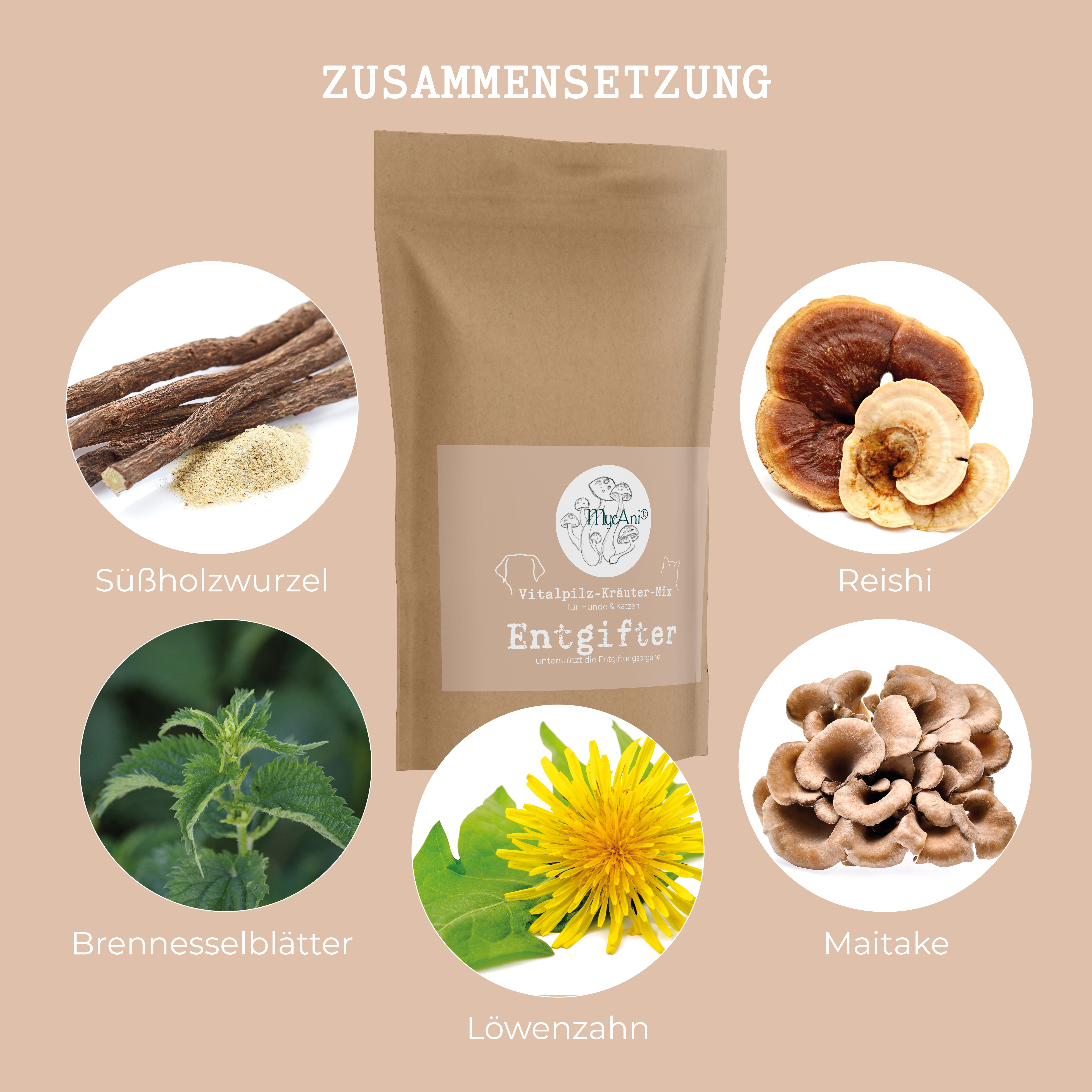 Vitalpilzmischung "Entgifter"