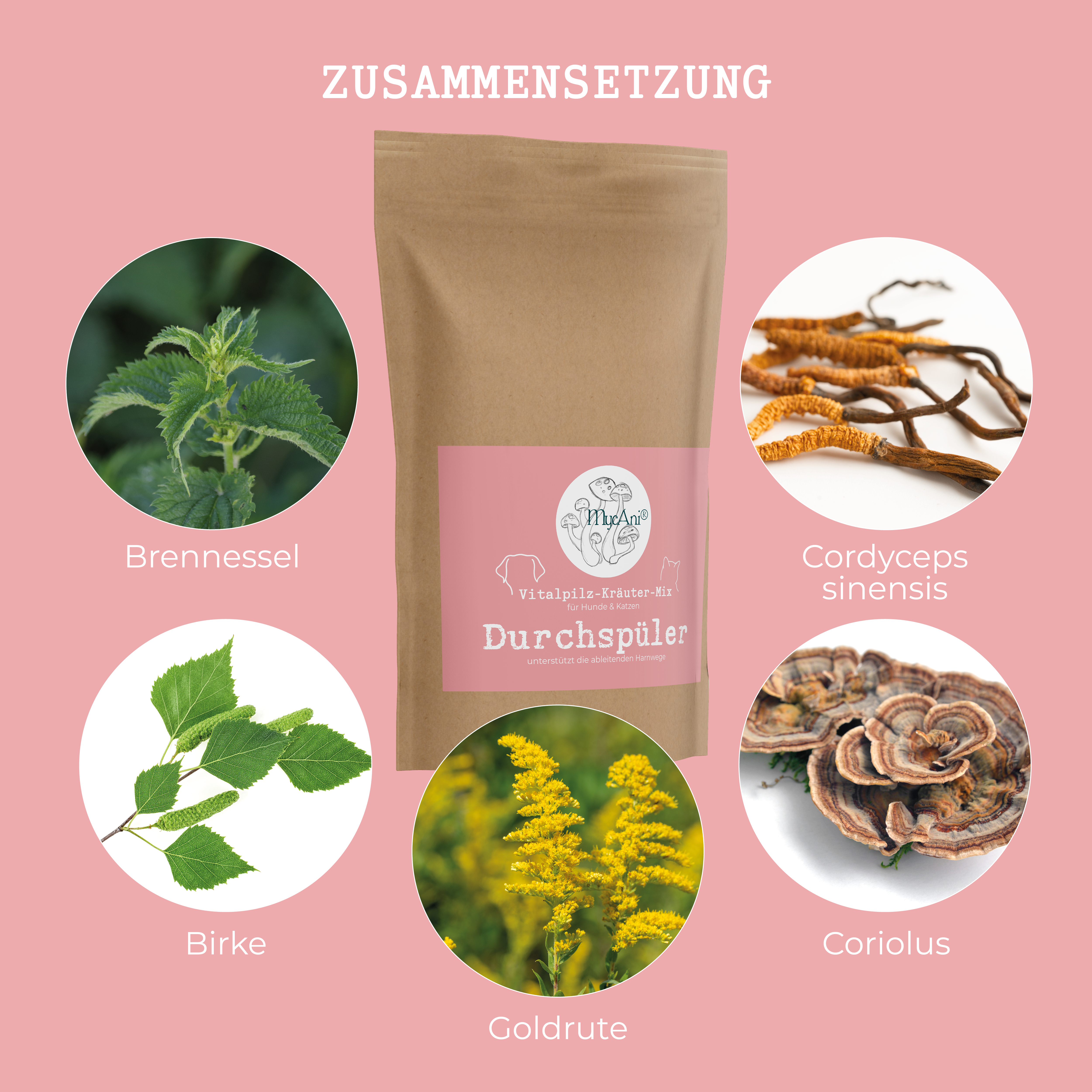 Vitalpilzmischung "Durchspüler"
