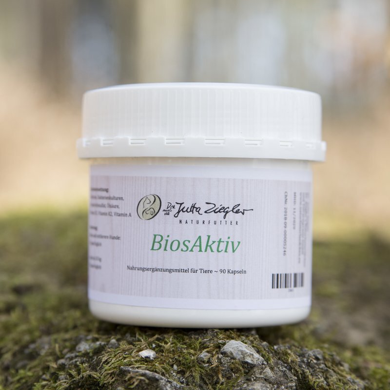BiosAktiv Probiotikum - Dr. Jutta Ziegler