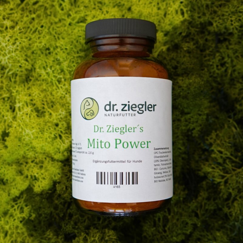 Mito Power - Dr. Jutta Ziegler
